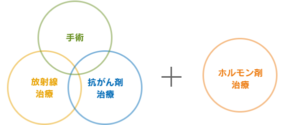 手術 放射線治療 抗がん剤治療 + ホルモン剤治療