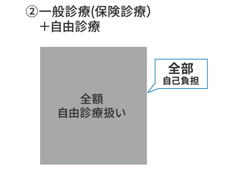 一般診療（保険診療）+自由診療