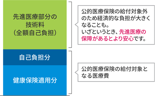 公的医療保険の給付対象外のため経済的な負担が大きくなることも。いざというとき、先進医療の保障があるとより安心です。公的医療保険の給付対象となる医療費