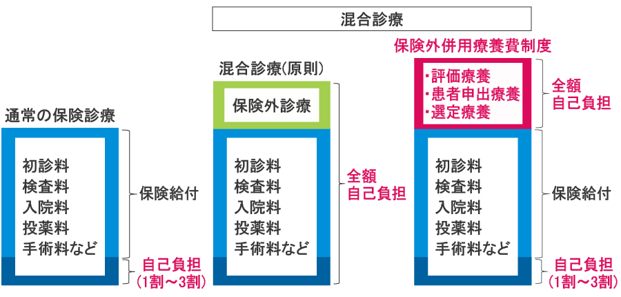 保険外併用療養制度
