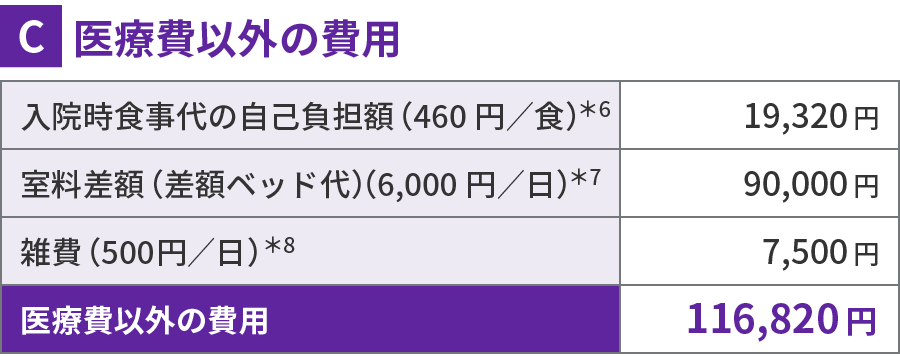 医療費以外の費用