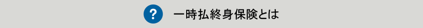 一時払終身保険とは