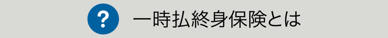 一時払終身保険とは