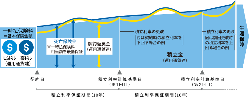 しくみ図(イメージ)