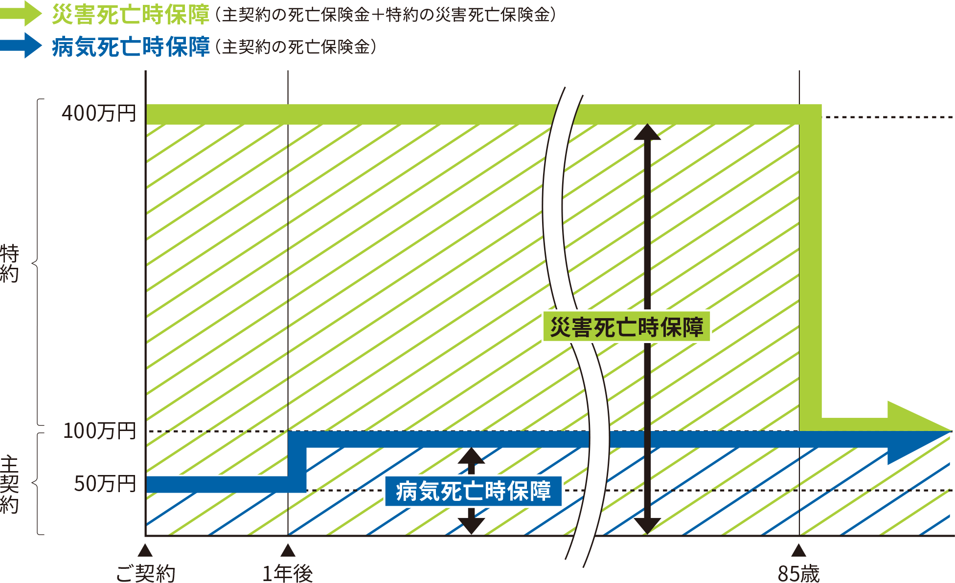 S1プランの場合