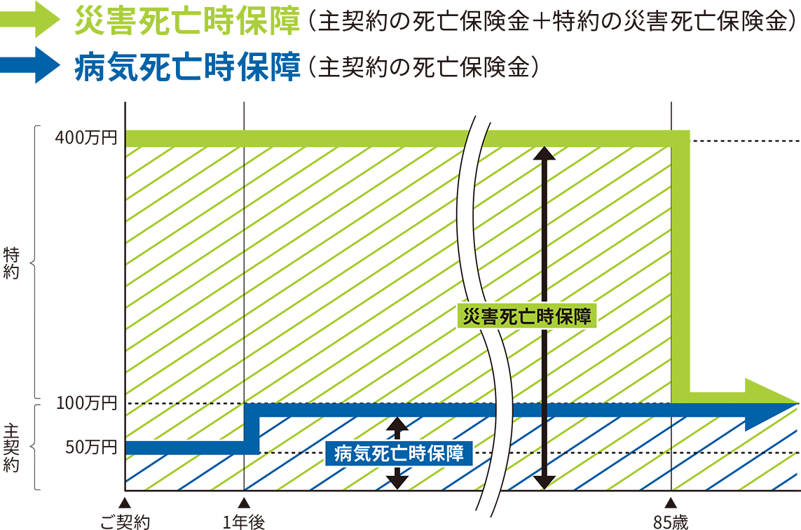 S1プランの場合