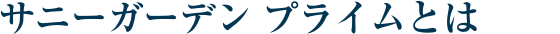 �T�j�[�K�[�f�� �v���C���Ƃ�